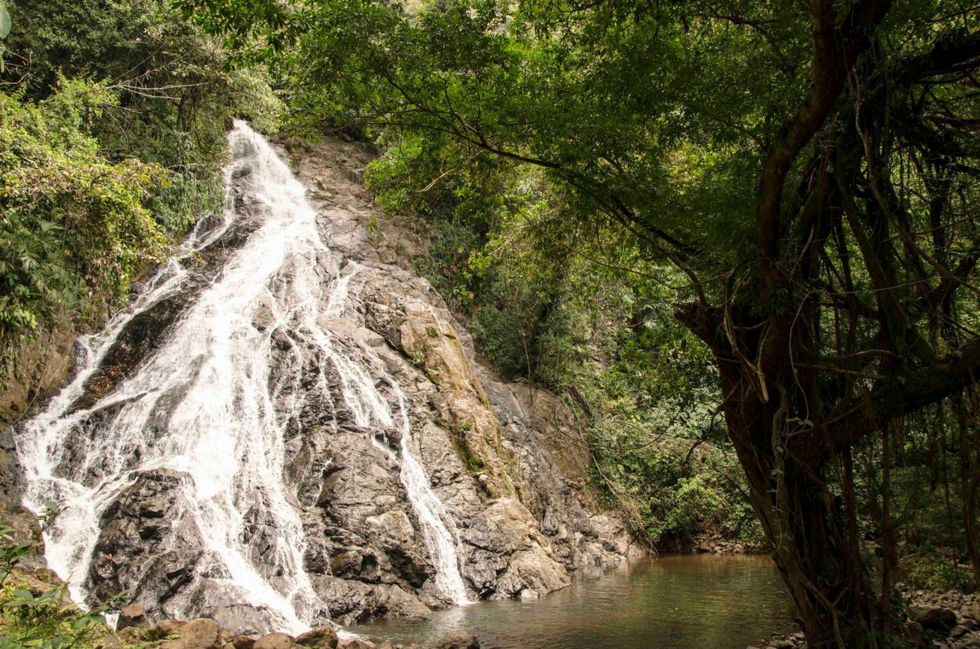 Jardin Botanico Del Pacifico Y Mecana Ecohotel Bahia Solano Bagian luar foto