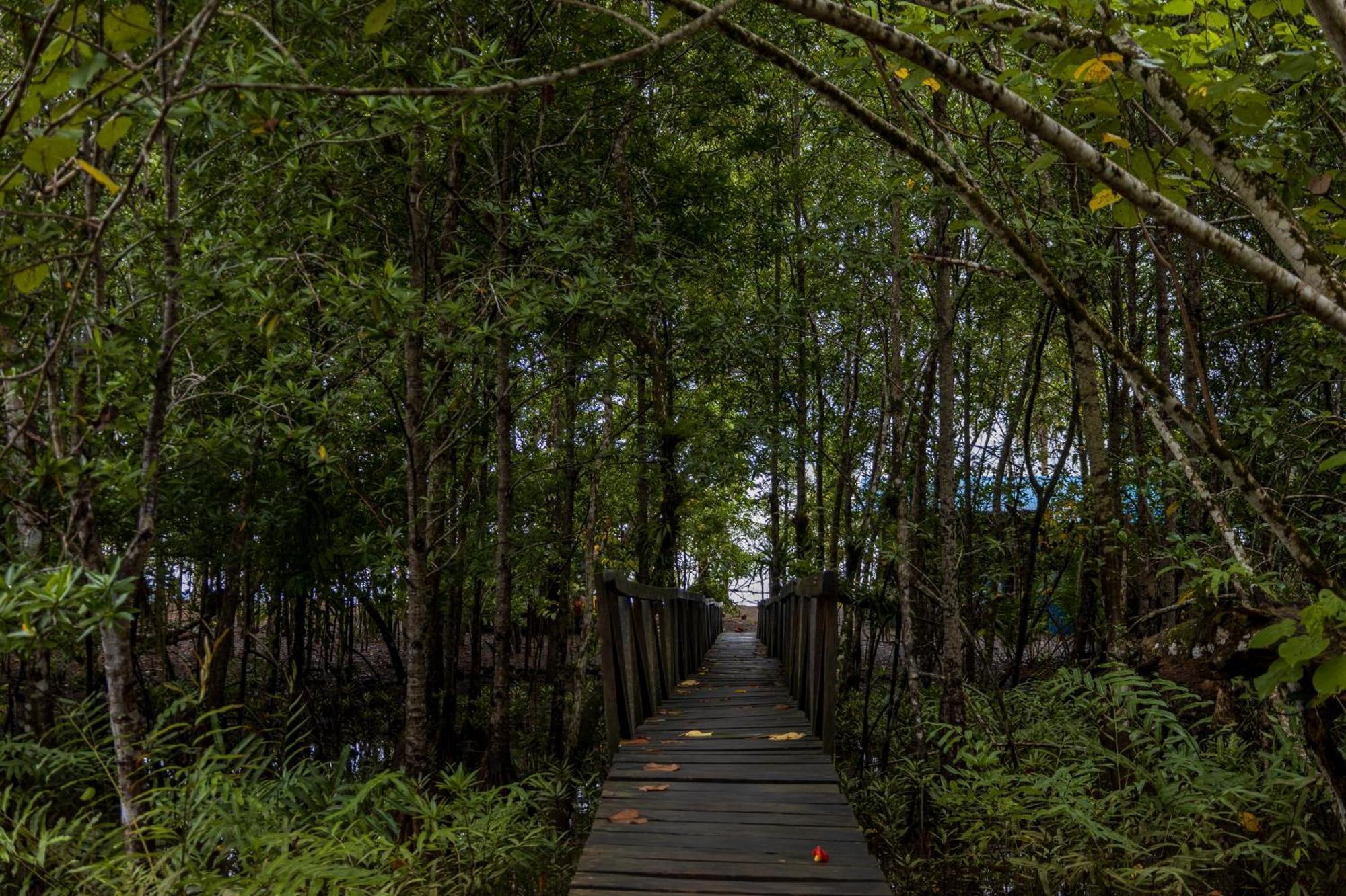 Jardin Botanico Del Pacifico Y Mecana Ecohotel Bahia Solano Bagian luar foto